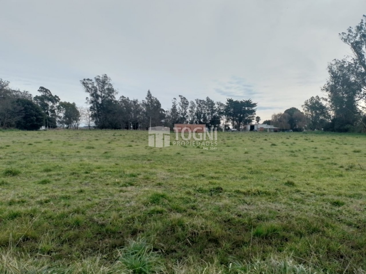 VENTA 1 HECTAREA + CONSTRUCCION EN SAN AGUSTIN !!