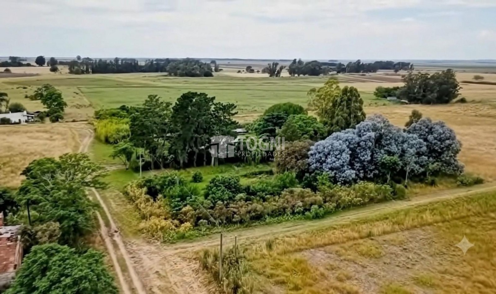 VENTA