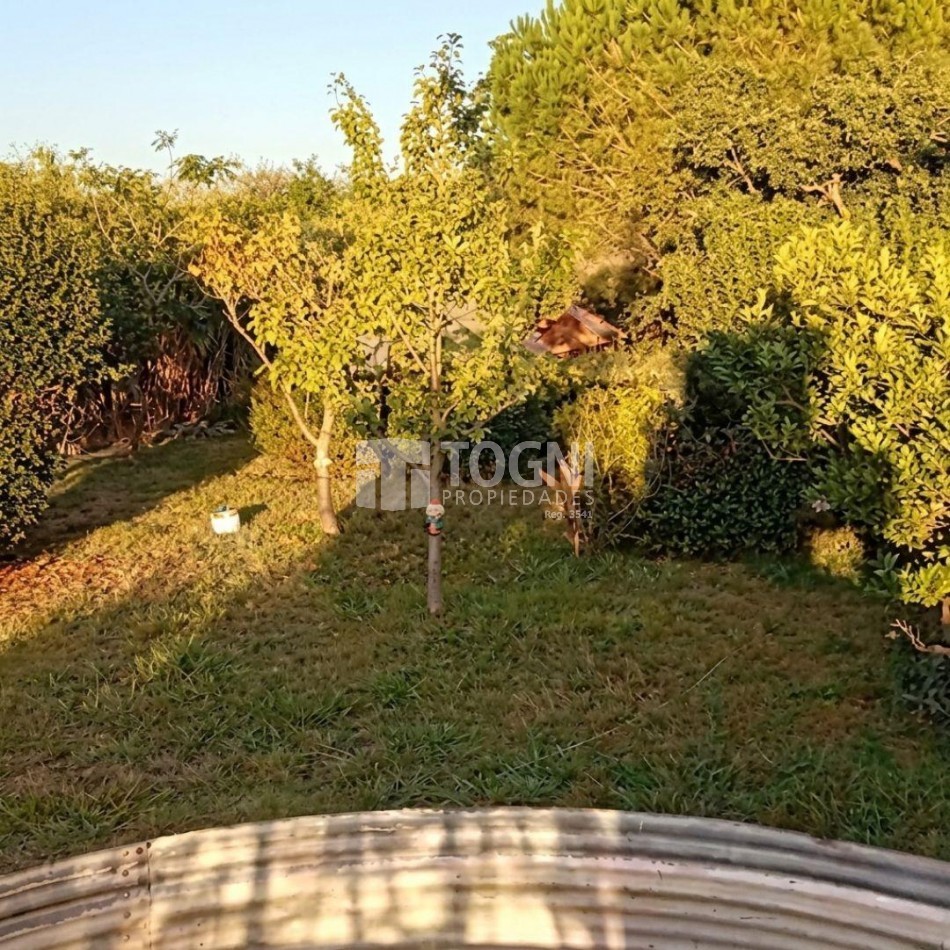 VENTA