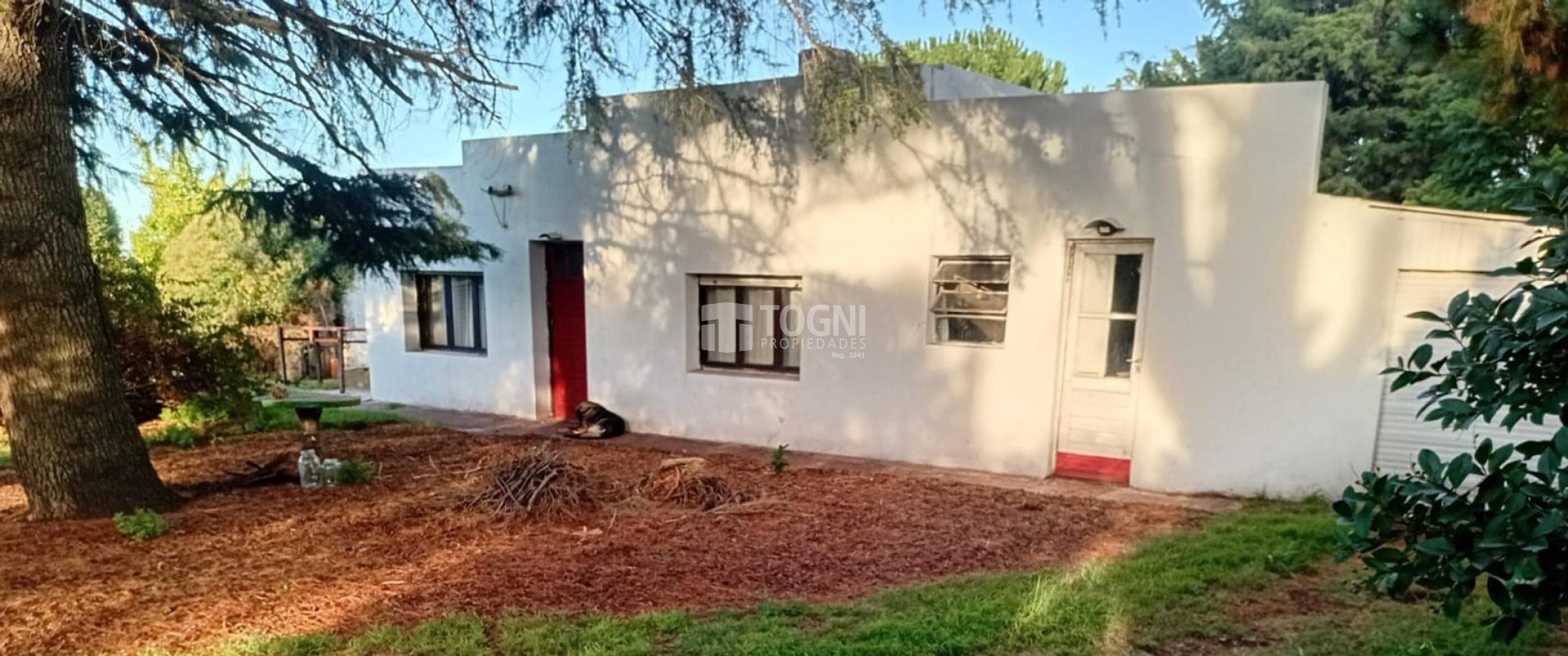 VENTA