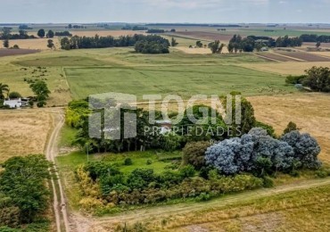 VENTA